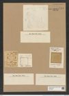 Amphitetras lata (Grev.) De-Toni (de-Toni-Nr.: Genus 137, Species 3606) Zeichnungen Sammlung Grunow Nr. 7104 (NHMW-BOT-W0376059)